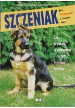 Szczeniak jak przetrwać z małym psem