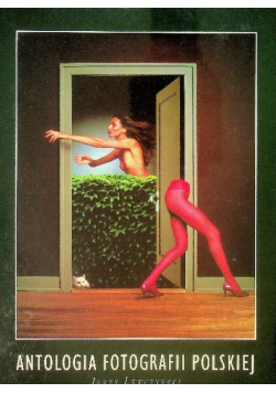 Antologia fotografii polskiej