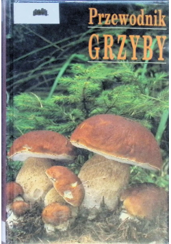 Przewodnik Grzyby