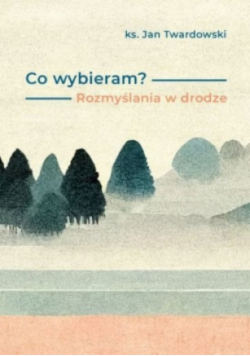 Co wybieram? Rozmyślania w drodze