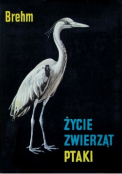 Życie zwierząt Ptaki