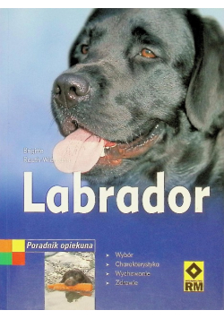 Labrador Poradnik opiekuna