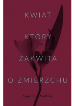 Kwiat, który zakwita o zmierzchu