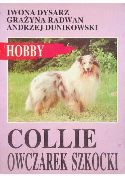 Collie owczarek szkocki