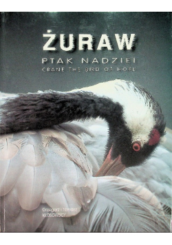 Żuraw  ptak nadziei Crane the bird of hope