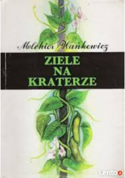 Ziele na kraterze