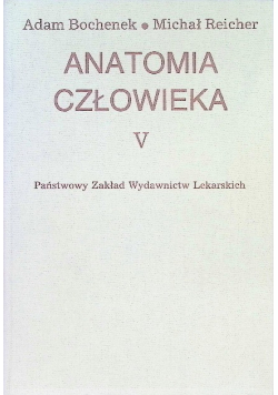 Anatomia człowieka Tom V