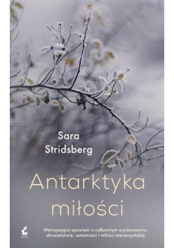 Antarktyka miłości