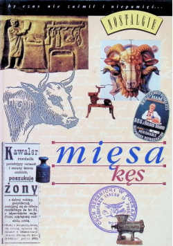 Mięsa kęs