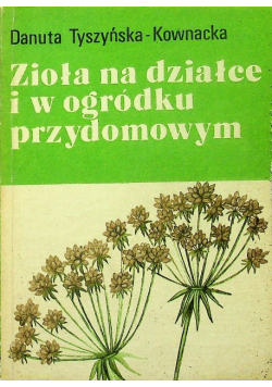 Zioła na działce i w ogródku przydomowym