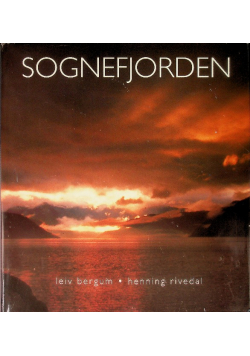 Stock Image Sognefjorden