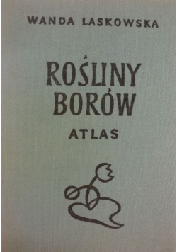 Rośliny Borów atlas