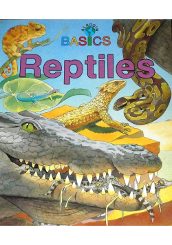 Basics Reptiles