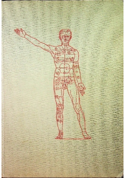 Atlas anatomii człowieka Tom 3