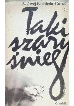 Taki szary śnieg