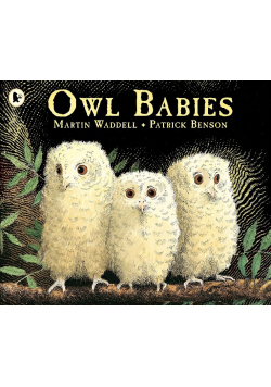 Owl Babies Story Book