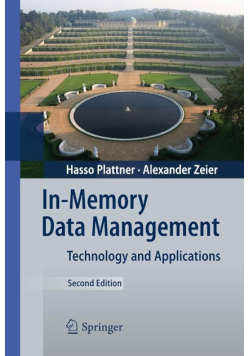 In-Memory Data Management