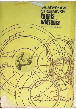 Teoria widzenia