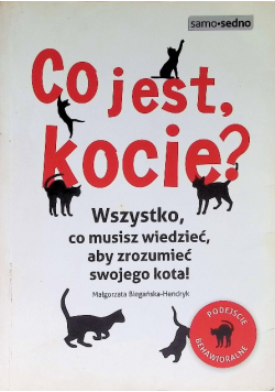 Co jest kocie Wszystko co musisz wiedzieć alby zrozumieć swojego kota