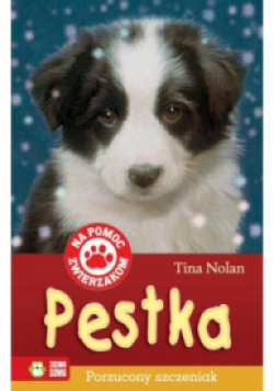 Na pomoc zwierzakom. Pestka porzucony szczeniak