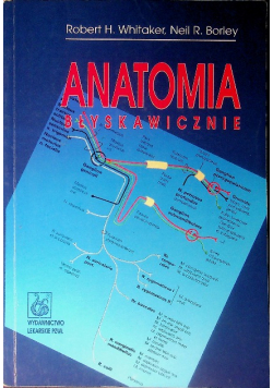 Anatomia błyskawicznie