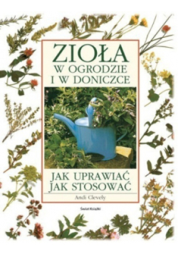 Zioła w ogrodzie w doniczce