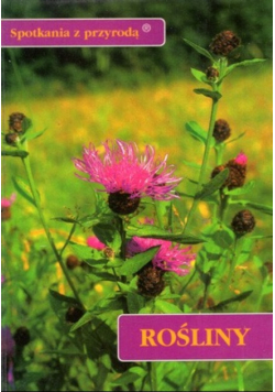 Spotkania z przyrodą Rośliny