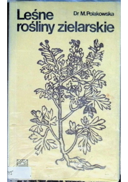 Leśne rośliny zielarskie