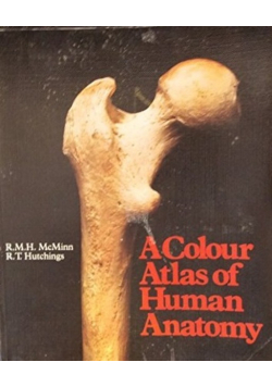 Color Atlas of Human Anatomy