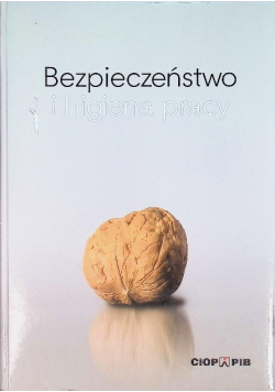 Bezpieczeństwo i higiena pracy