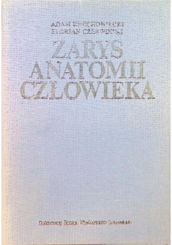Zarys anatomii człowieka