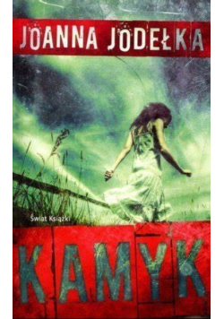 Kamyk