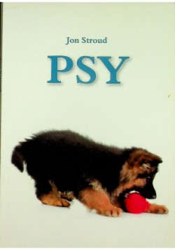 Psy
