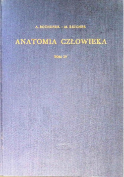 Anatomia Człowieka Tom 4