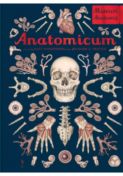 Anatomicum. Muzeum Anatomii
