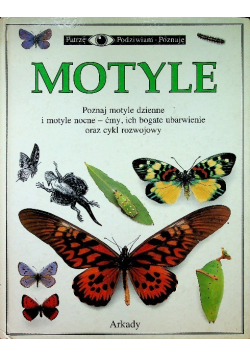 Patrzę Podziwiam Poznaję Motyle