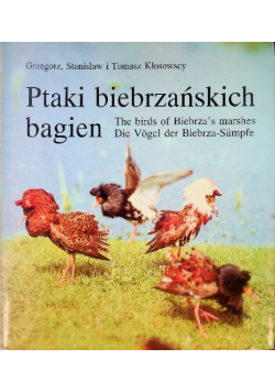 Ptaki biebrzańskich bagien