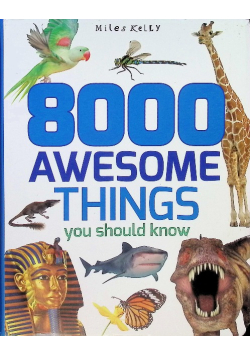 8000 Awesome Things You Should Know