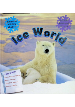 Ice World