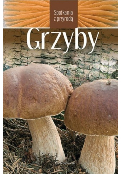 Grzyby