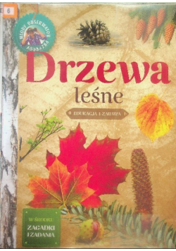 Młody Obserwator Przyrody Drzewa leśne