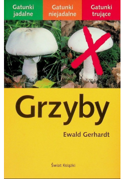Grzyby