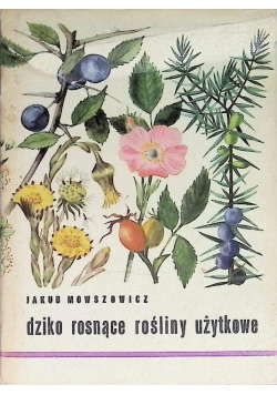 Dziko rosnące rośliny użytkowe