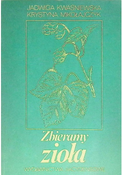 Zbieramy zioła