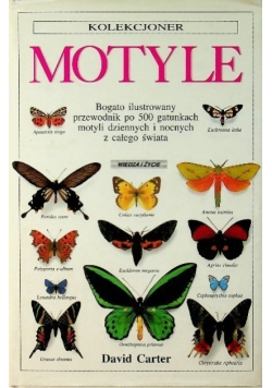 Kolekcjoner Motyle