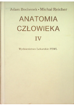 Anatomia człowieka IV