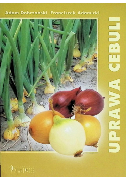 Uprawa cebuli