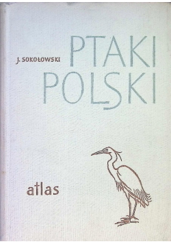 Ptaki Polski