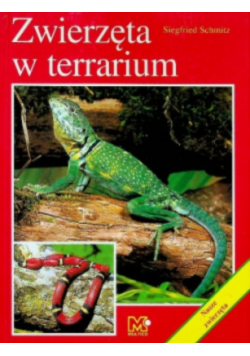 Zwierzęta w terrarium