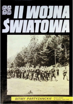 II Wojna Światowa Bitwy Partyzanckie